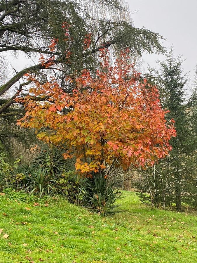 Domaine Le Manoir, Gites De Charme Et De Caractere Avec Piscines Privatisees Et Spa Nordique Fossemagne Eksteriør billede