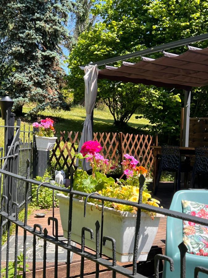 Domaine Le Manoir, Gites De Charme Et De Caractere Avec Piscines Privatisees Et Spa Nordique Fossemagne Eksteriør billede